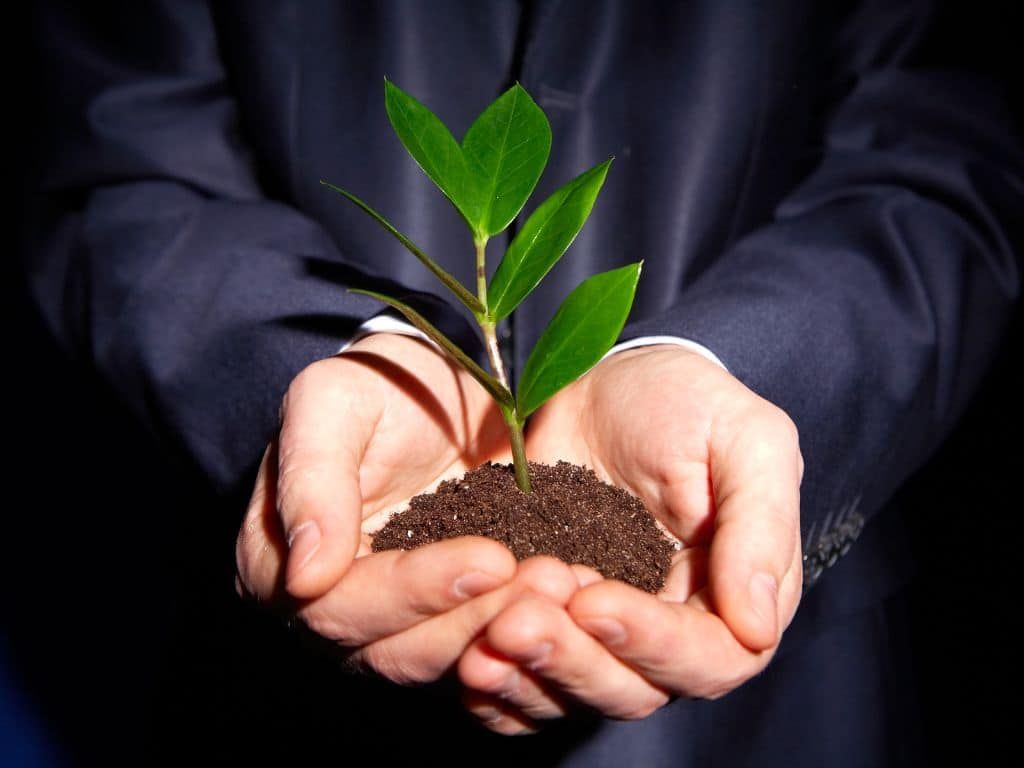 Små business succeshistorier og inspiration